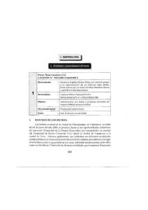 1. PLENOS CASATORIOS CIVILES-resumen.pdf