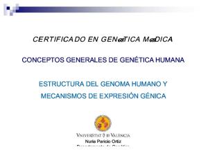 1.1 Estructura del Genoma Humano y Mecanismos de Expresión Génica.pdf