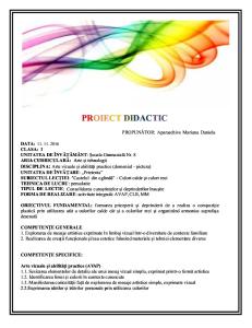 2 Proiect Didactic Avap