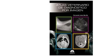 244923001-Atlas-Veterinario-de-Diagnostico-Por-Imagen.pdf