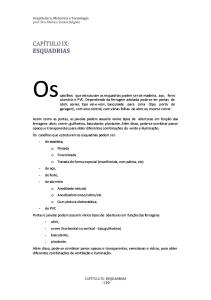 28 Tipos de Janelas, Esquadrias e Instalações.pdf