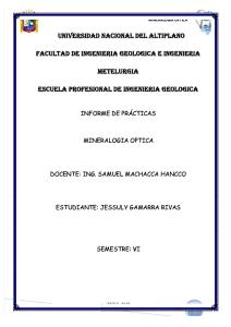 317578644-Informe-de-Practicas-de-Mineralogia-Optica.docx