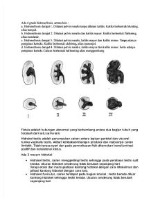 Ada 4 grade hidronefrosis.docx