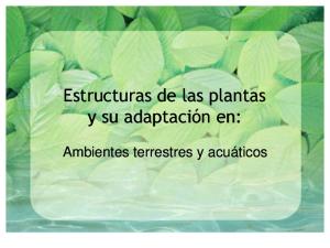 Adaptación de las plantas al ambiente