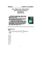 Álgebra Linear - (Boldrini) capítulo 1 e 2 resolvidos.pdf