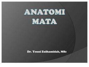 anatomi-mata.pdf
