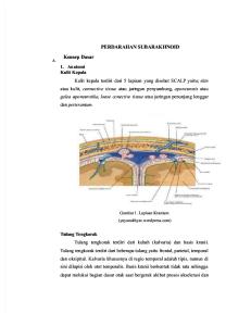 Anatomi Perdarahan sub arachnoid
