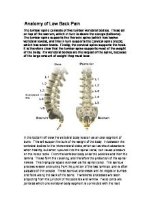 Anatomy of Low Back Pain