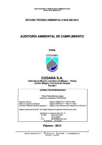 Auditoria Codana.pdf