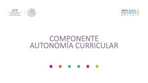 Autonomia Curricular.pdf