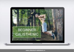 Beginner Calisthenic PDF