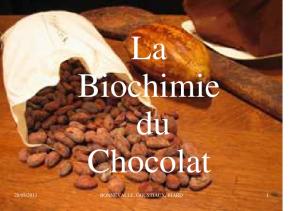 biochimie chocolat2