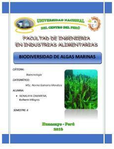 Biodiversidad de Algas Marinas