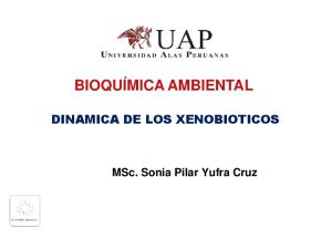 Bqma (Dinamica de Xenobioticos)