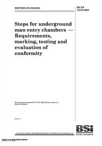 BS EN 13101 step iron specs.pdf