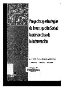 Callejox Proyecto de Investigacixn