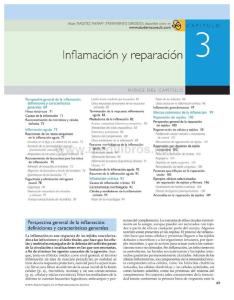 capitulo 3 inflamacion y reparacion Patologia estructural y funcional Robbins y Contran