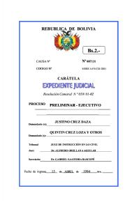 Caratula de Expediente Judicial.doc