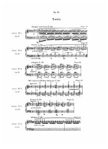 Chopin Etudes Op. 25 (Cortot)