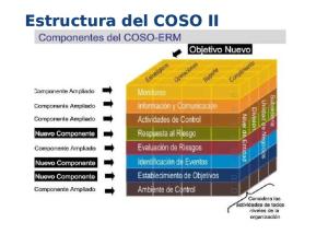 Componentes de Coso II