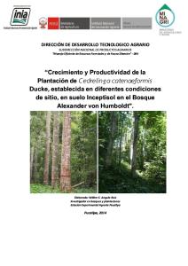 Crecimiento y Productividad de La Plantación de Cedrelinga Catenaeformis Ducke,