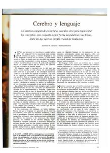 Damasio CEREBRO Y LENGUAJE.pdf