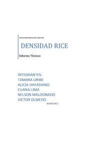 Densidad Rice 10A (1)