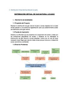 Distribución Virtual de Gas Natural Licuado Informe