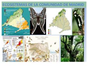 Ecosistemas de La Comunidad de Madrid