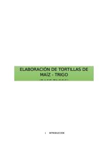 Elaboracion de Tortillas Maiz