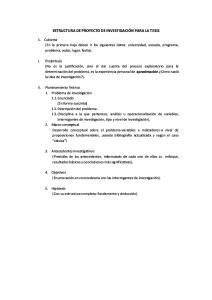 ESTRUCTURA DE PROYECTO DE TESIS UCSM.pdf