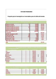 ESTUDIO FINANCIERO INVERNADERO