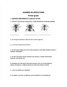 Examen de Apicultura de 5 Fases