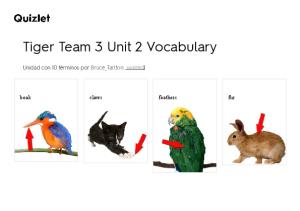 Fichas de Aprendizaje Tiger Team 3 Unit 2 Vocabulary _ Quizlet