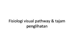 Fisiologi Visual Pathway