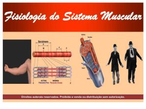 Fisiologia Sistema Muscular