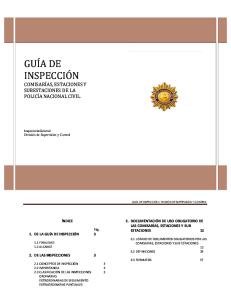 Guia de Inspección 2011