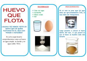 Huevo Flota triptico