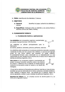INFORME aldehidos y cetonas