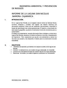 INFORME DE LA LAGUNA SAN NICOLAS.docx