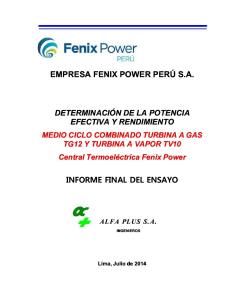 Informe Fenix.pdf