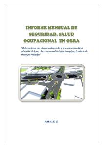 Informe Mensual de Seguridad Abril -PDF