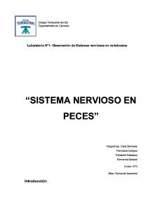 Informe Sistema Nervioso Pez