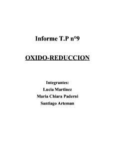 Informe Tp 9 Oxido Reduccion