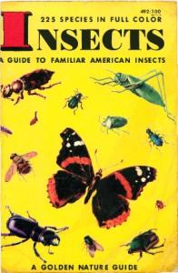 Insects - A Golden Nature Guide