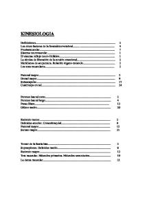 Kinesiologia Todo El Manual Completo