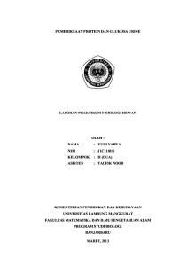 Laporan 2 Fisiologi Hewan Pemeriksaan Protein dan Glukosa Urine.docx