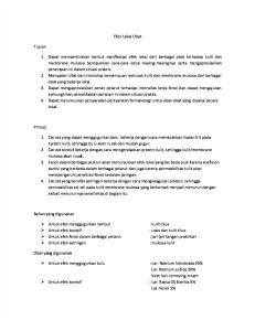 Laporan Efek Lokal Obat