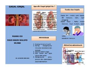 Leaflet Gagal Ginjal