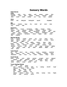 List of Sensory Words